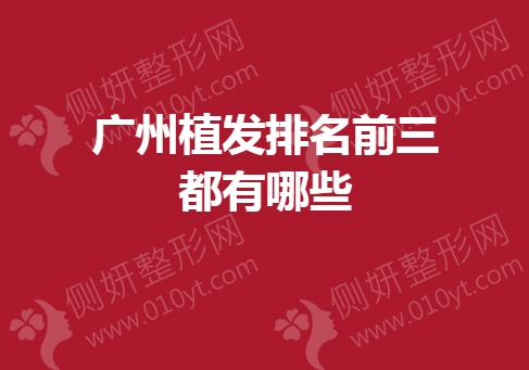 广州植发排名前三都有哪些