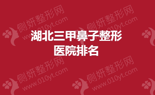 湖北三甲鼻子整形医院排名
