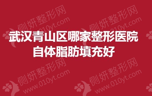 武汉青山区哪家整形医院自体脂肪填充好
