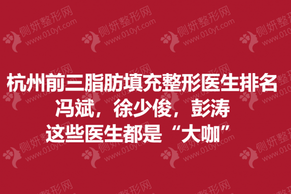 杭州前三脂肪填充整形医生排名
