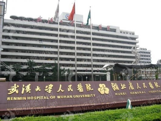 武汉脂肪整形医院实力排名前三的