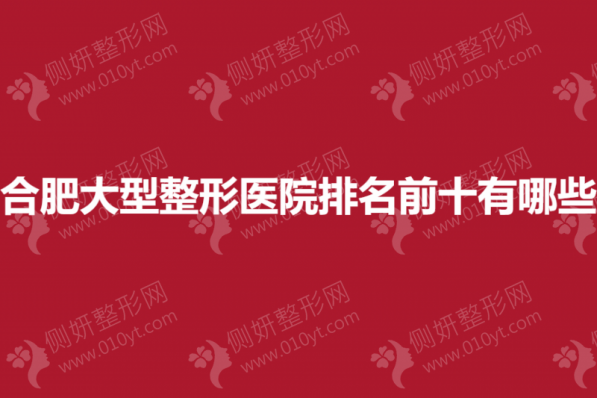 合肥大型整形医院排名前十有哪些