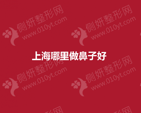 上海哪里做鼻子好 