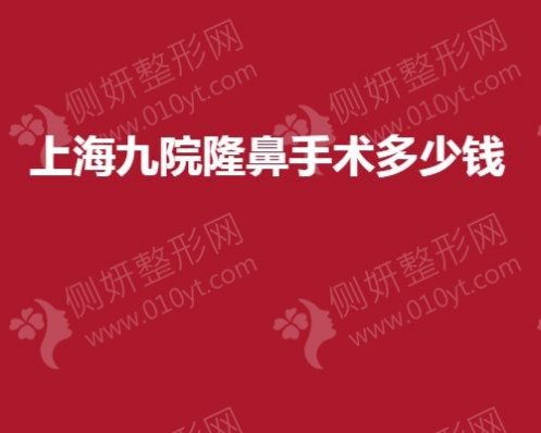 上海九院隆鼻手术多少钱