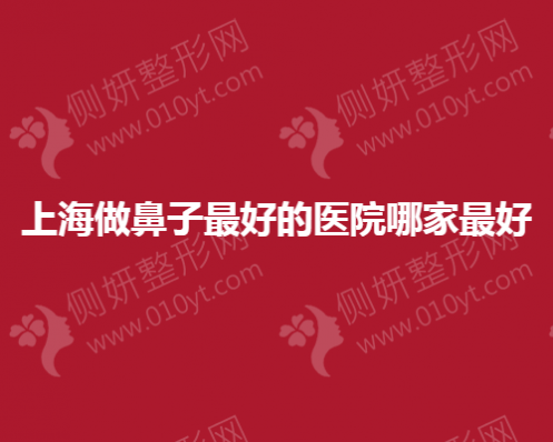 上海做鼻子好的医院哪家最好