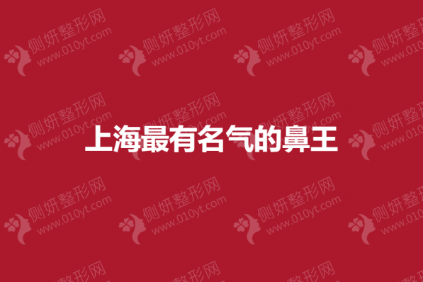 上海最有名气的鼻王