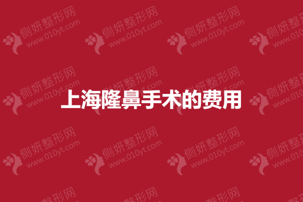 上海市隆鼻手术的费用