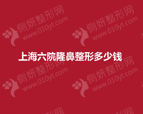 上海六院隆鼻整形多少钱 