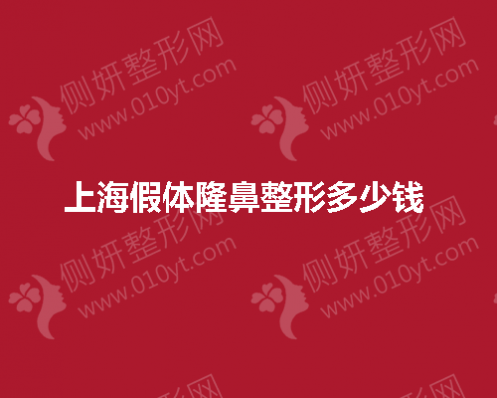 上海假体隆鼻整形多少钱 