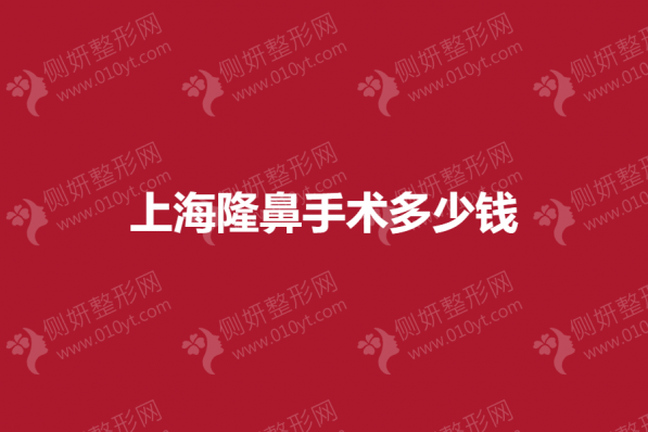 上海市隆鼻手术多少钱