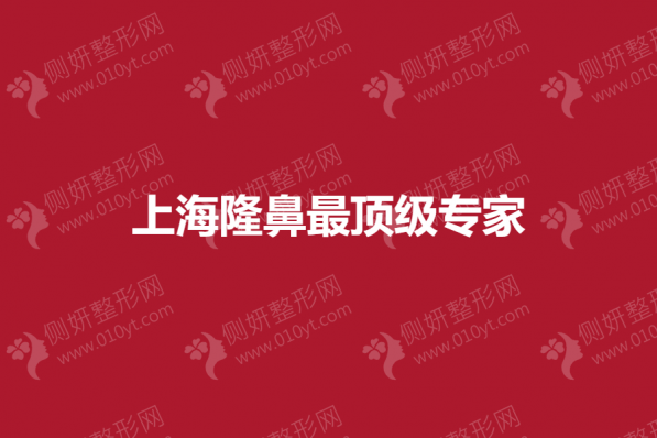 上海隆鼻最顶级专家