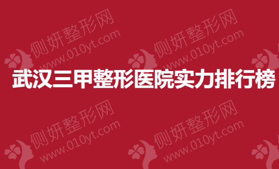 武汉三甲整形美容医院实力排行榜