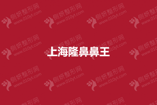 上海市隆鼻鼻王