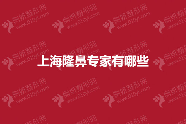 上海市隆鼻专家有哪些