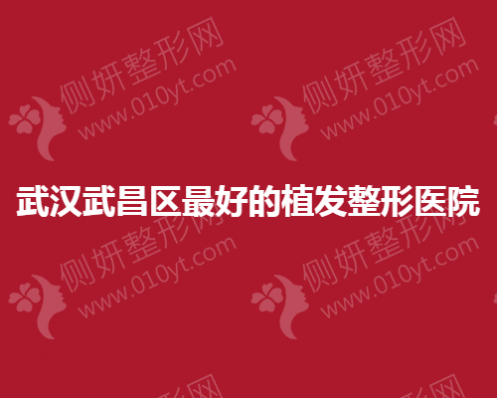 武汉武昌区最好的植发整形医院