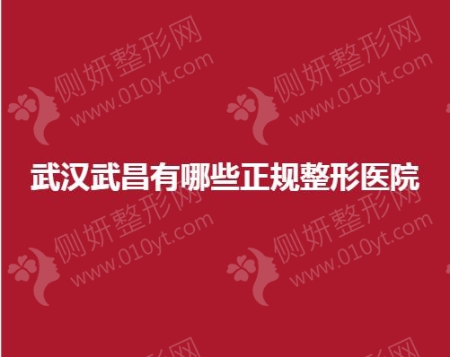 武汉武昌有哪些正规整形医院