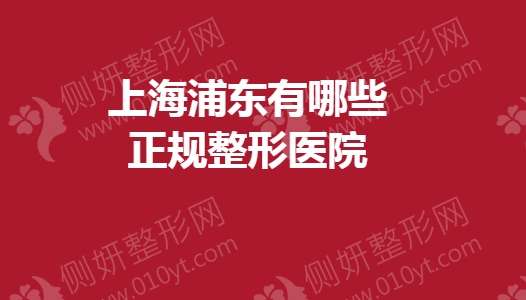 上海浦东有哪些正规整形医院
