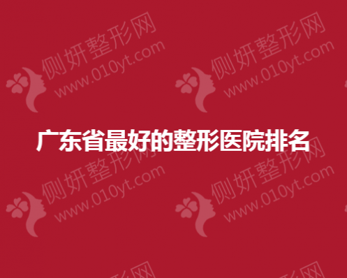 广东省隆鼻好的整形医院排名