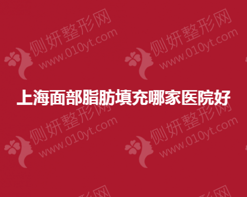 上海面部脂肪填充哪一家医院好
