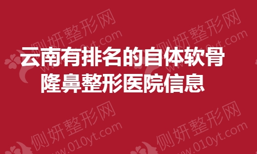 云南有排名的自体软骨隆鼻整形美容医院信息