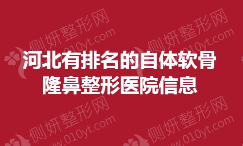 河北有排名的自体软骨隆鼻整形医院信息