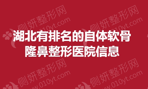 湖北有排名的自体软骨隆鼻整形医院信息