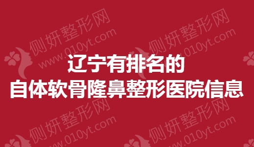 辽宁有排名的自体软骨隆鼻整形医院信息