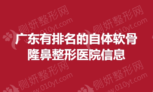 广东有排名的自体软骨隆鼻整形医院信息