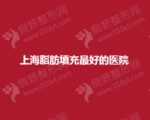 上海脂肪填充最好的医院