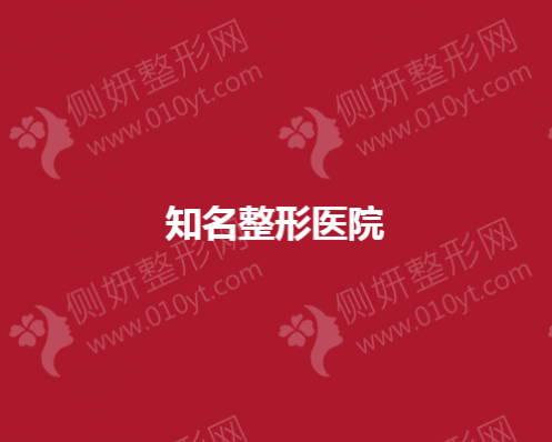 知名整形医院前十名单