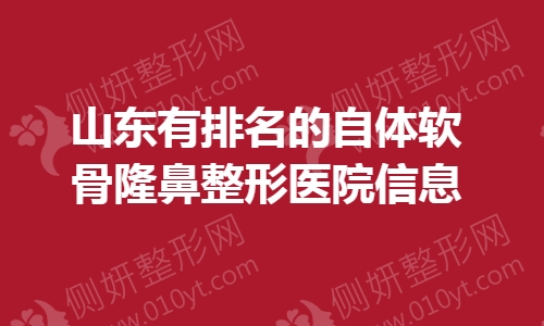 山东有排名的自体软骨隆鼻整形医院信息
