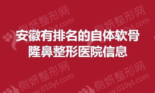 安徽有排名的自体软骨隆鼻整形医院信息