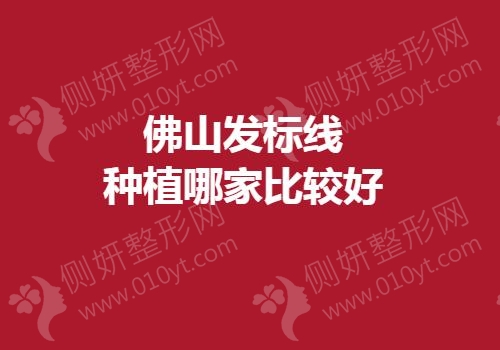 佛山发标线种植哪家比较好