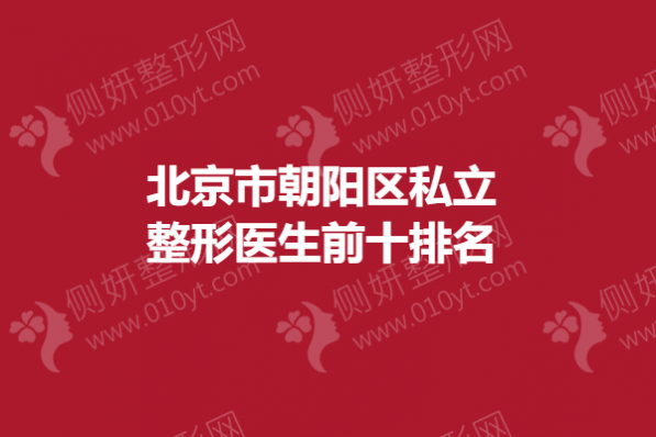 北京市朝阳区私立整形医生前十排名