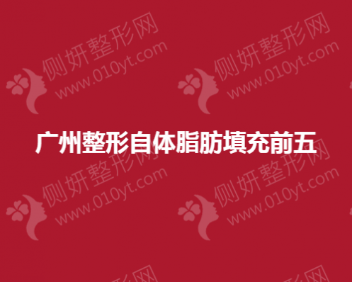 广州整形自体脂肪填充前五