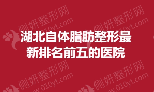 湖北自体脂肪整形最新排名前五的医院