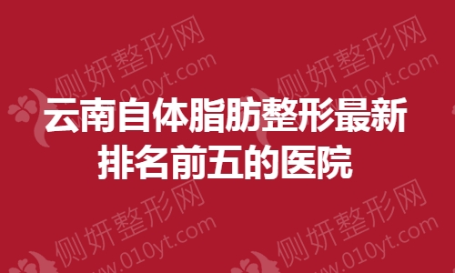 云南自体脂肪整形最新排名前五的医院