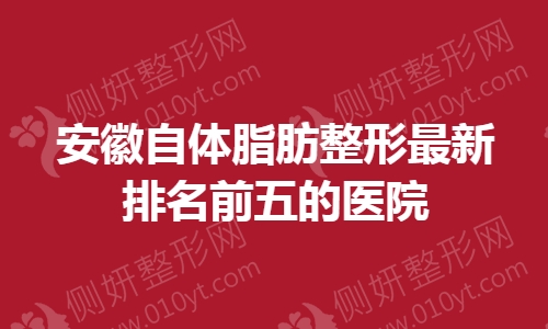 安徽自体脂肪整形最新排名前五的医院