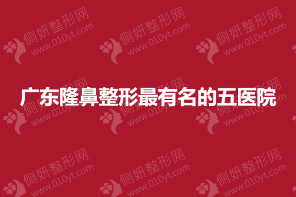 广东隆鼻整形最有名的五医院