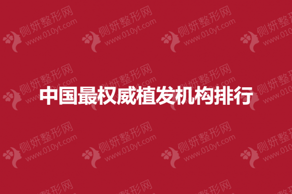 中国最权威植发机构排行