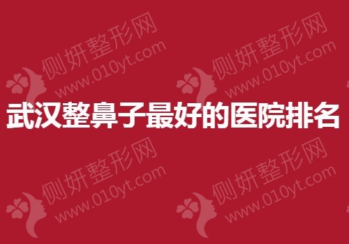 武汉整鼻子最好的医院排名