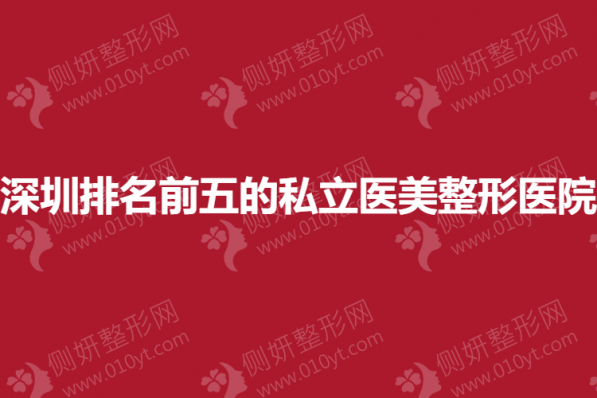 深圳排名前五的私立医美整形医院