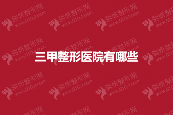 国内三甲整形医院有哪些