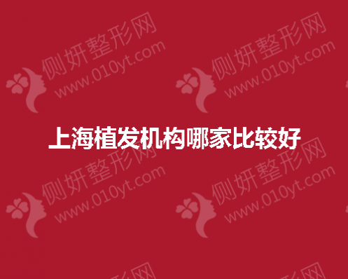 上海植发机构哪家比较好