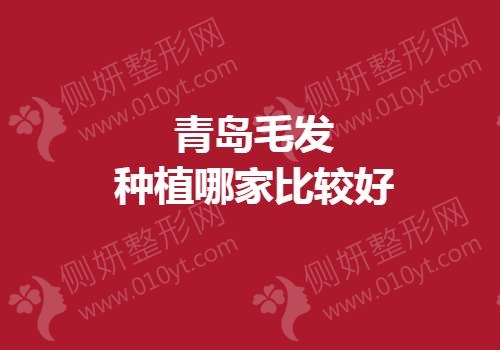 青岛毛发种植哪家比较好