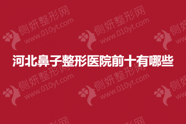河北鼻子整形医院前十有哪些