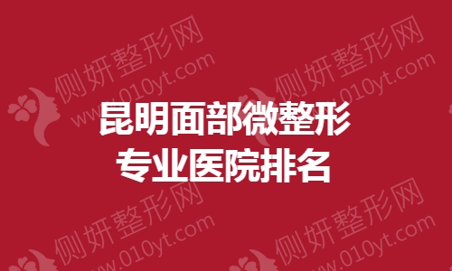 昆明面部微整形专业医院排名