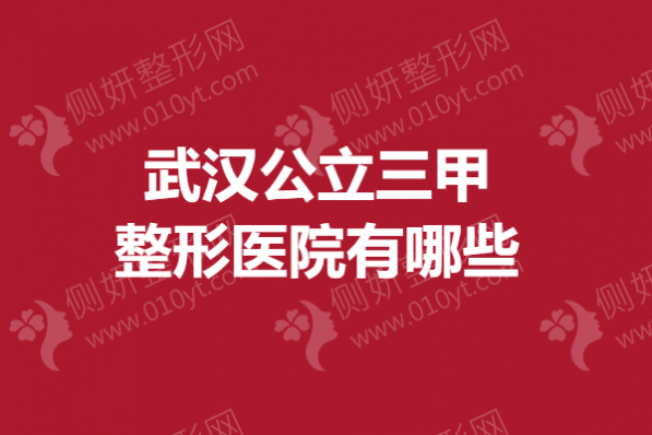 武汉公立三甲整形美容医院有哪些