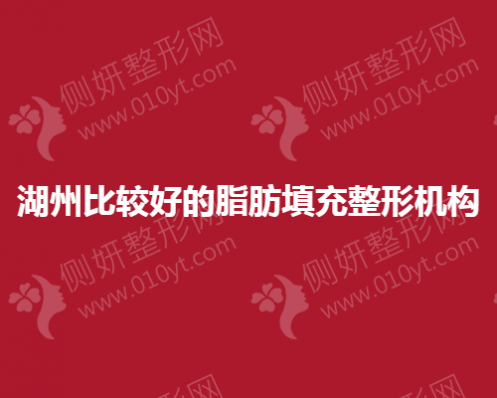 湖州比较好的脂肪填充整形机构