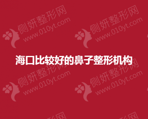 海口比较好的鼻子整形机构